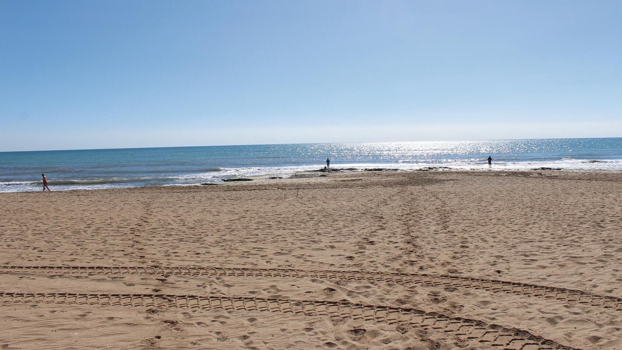 Photo of Others in Torrevieja