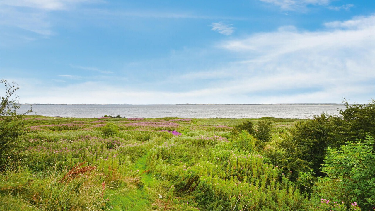 Photo of Others in Hurup Thy