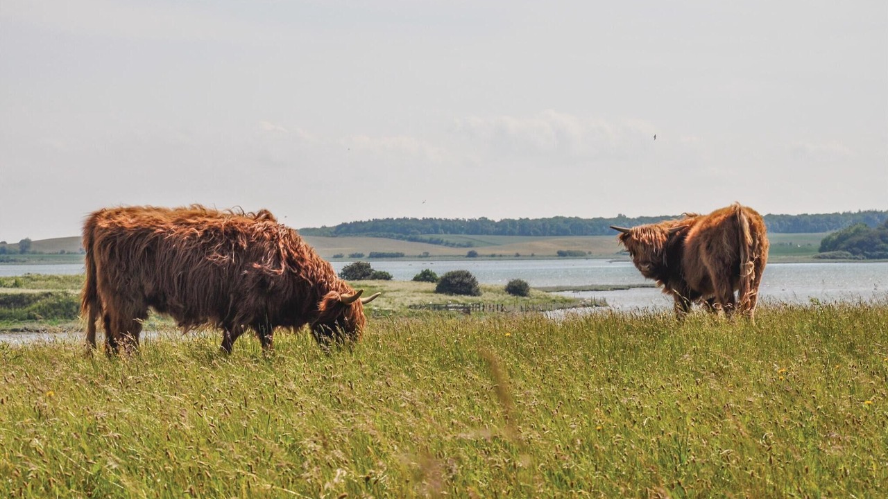 Photo of Others in Martofte