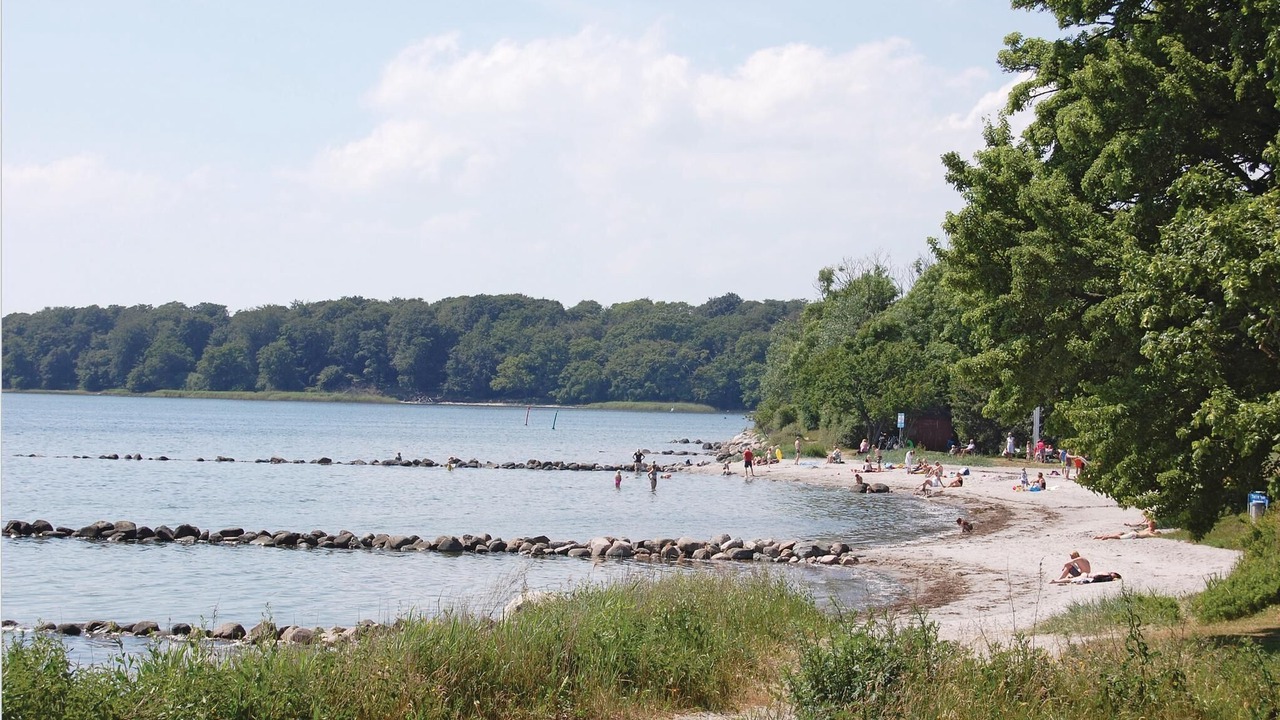 Photo of Others in Nysted