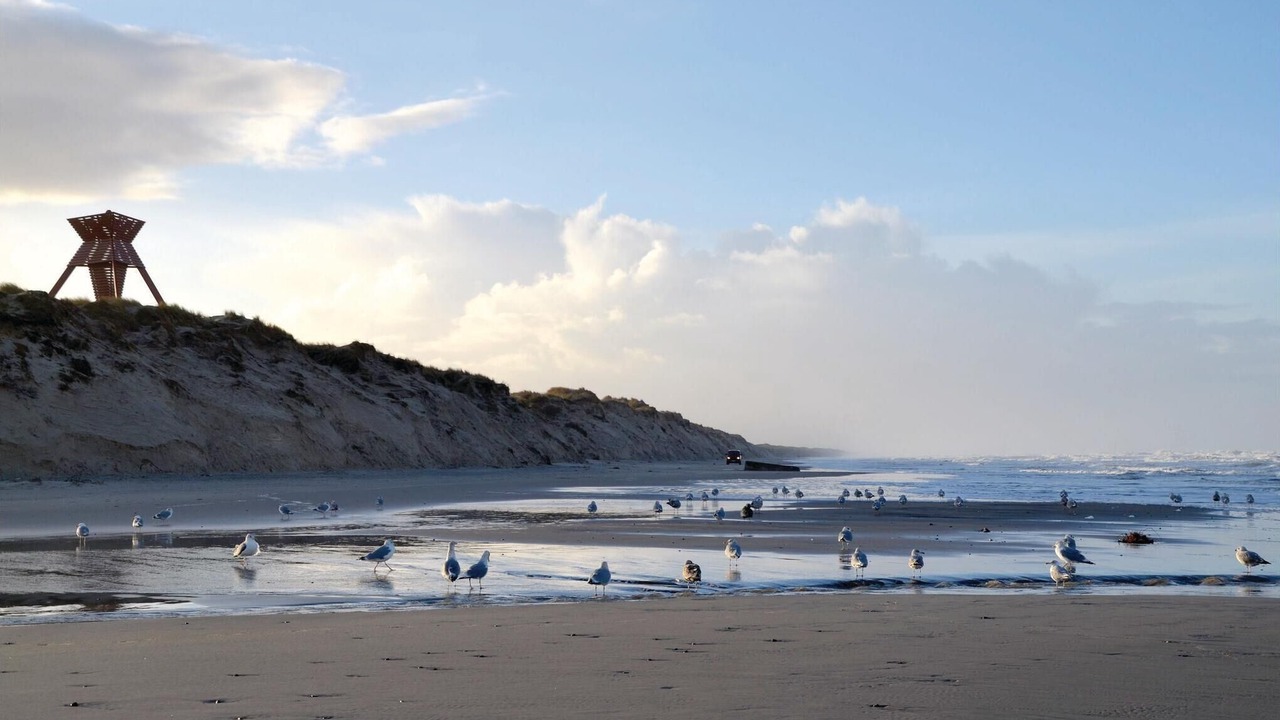 Photo of Others in Blokhus