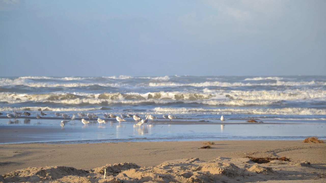 Photo of Others in Blokhus