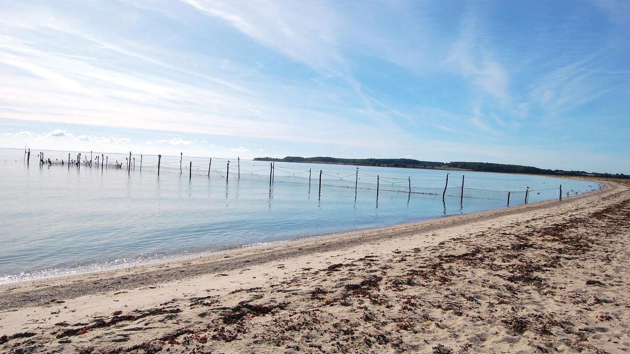 Photo of Others in Flovt Strand