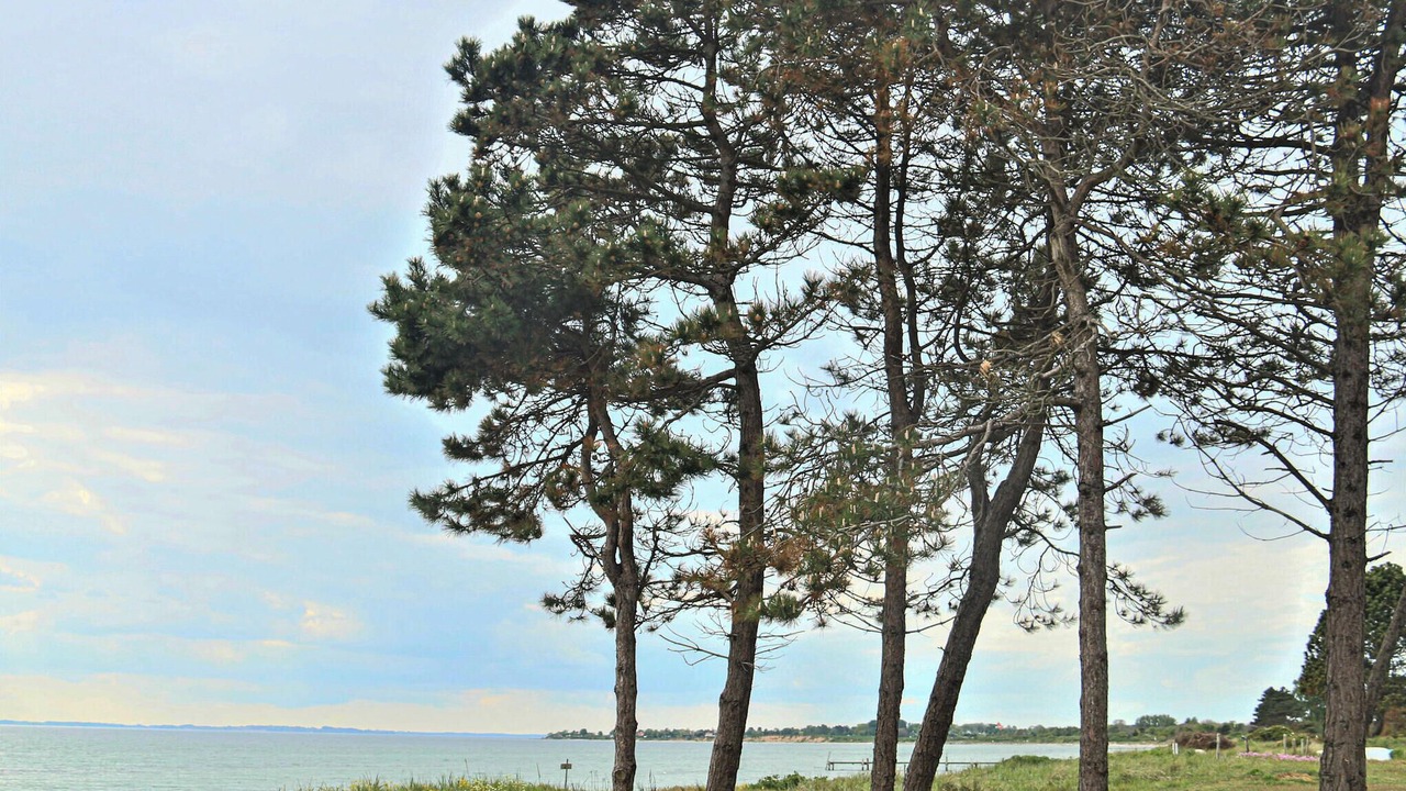 Photo of Others in Kegnæshøj