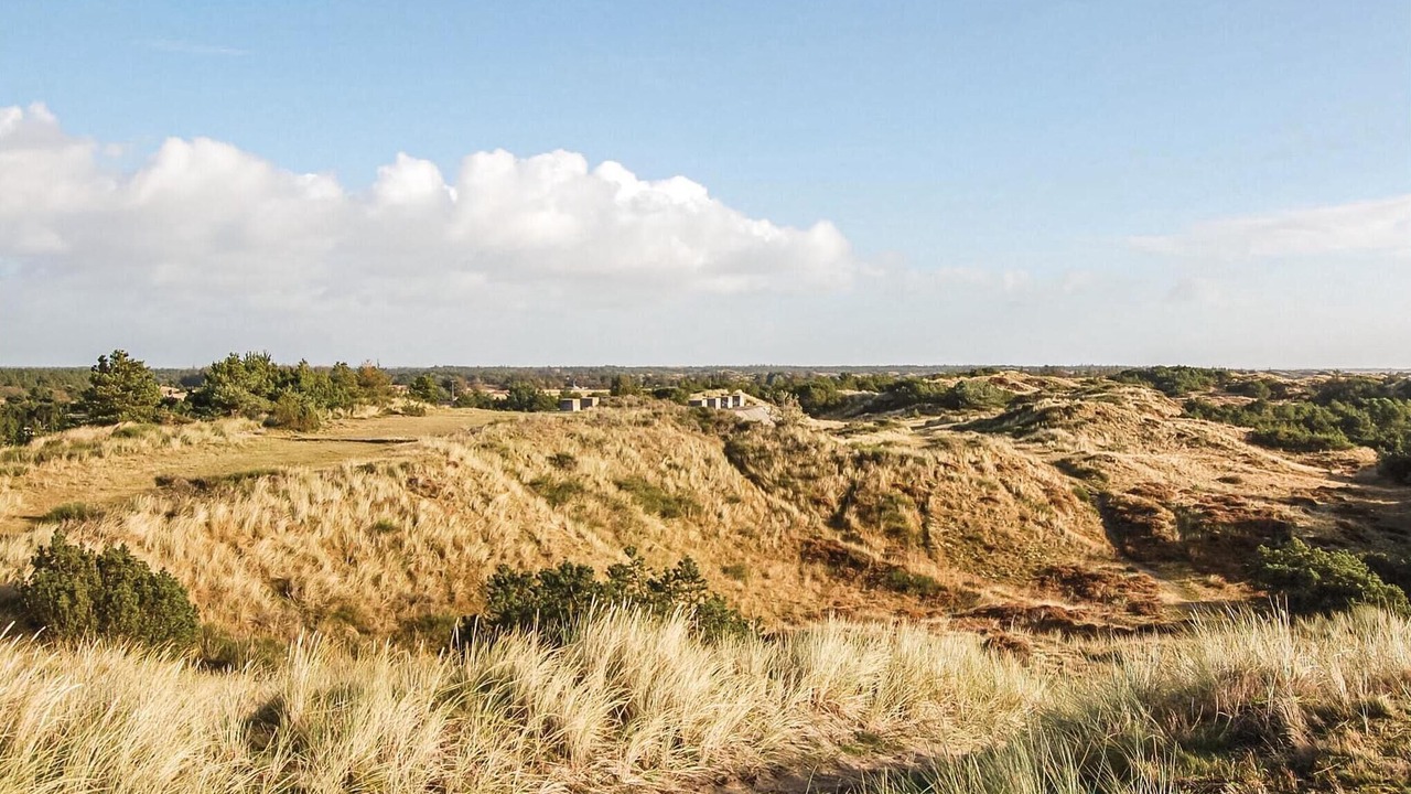Photo of Others in Blavand Strand
