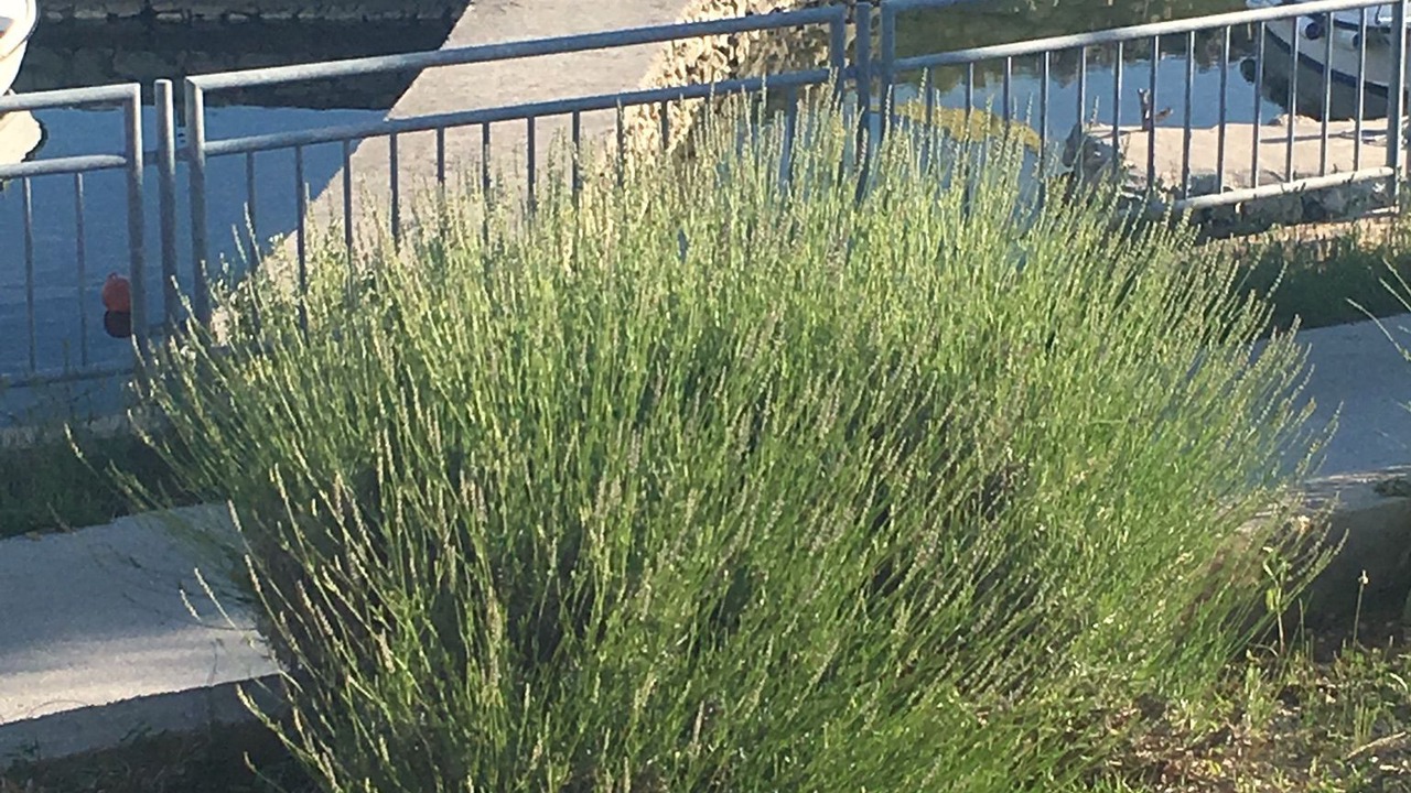 Photo of Outdoor in Jakisnica