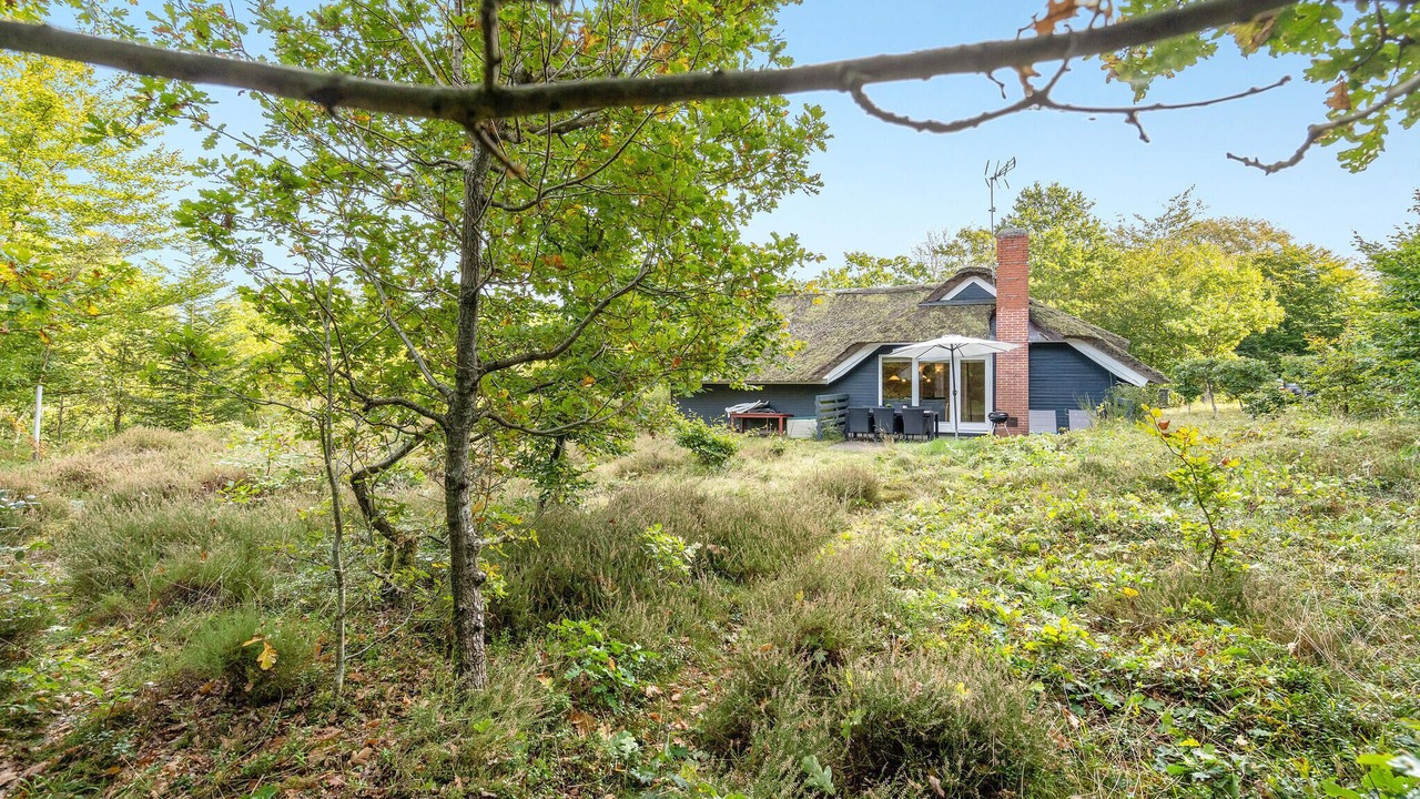 Photo of Others in Fjellerup