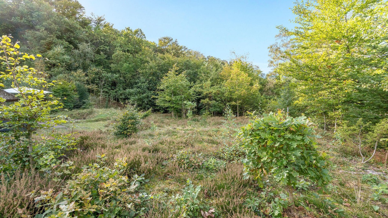 Photo of Others in Fjellerup