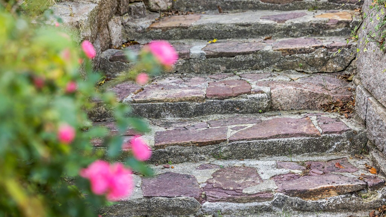 Photo of Outdoor in Sandvig