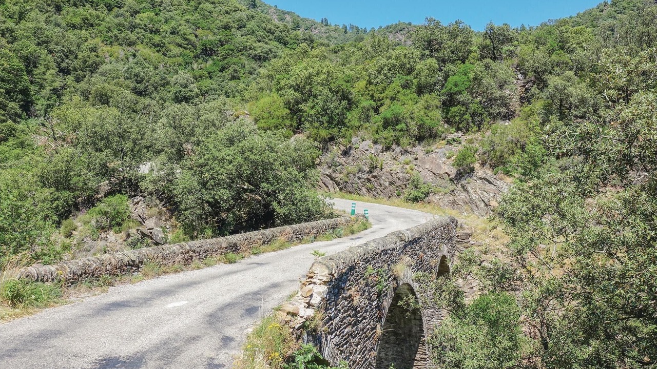 Photo of Others in Senechas