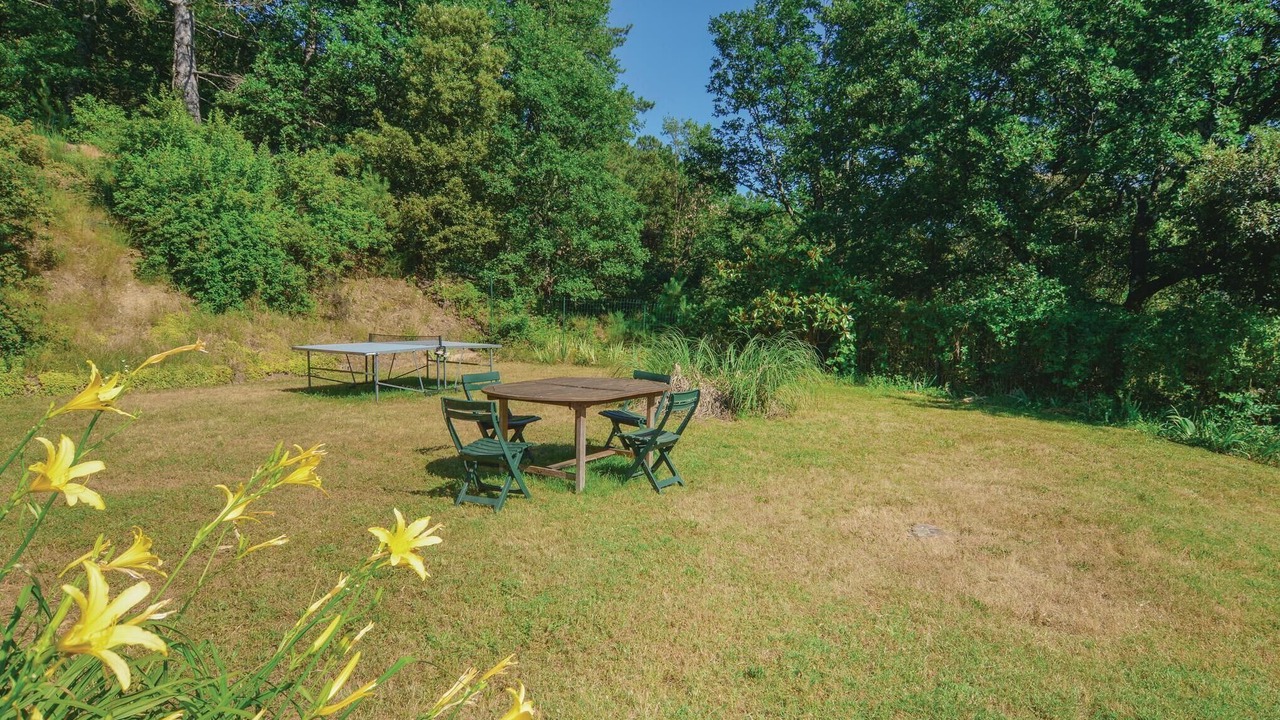 Photo of Others in Senechas