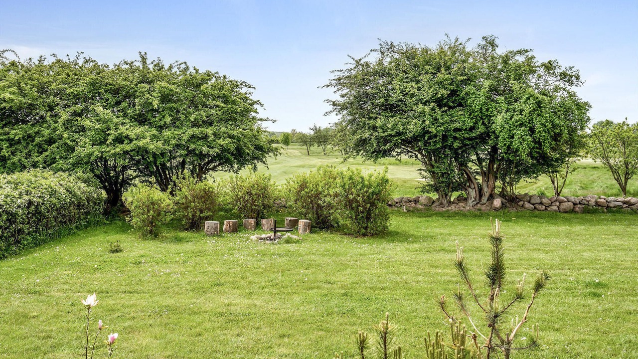 Photo of Outdoor in Østerskov