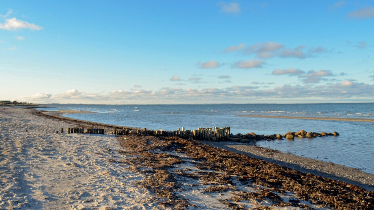 Photo of Others in Fjellerup Strand