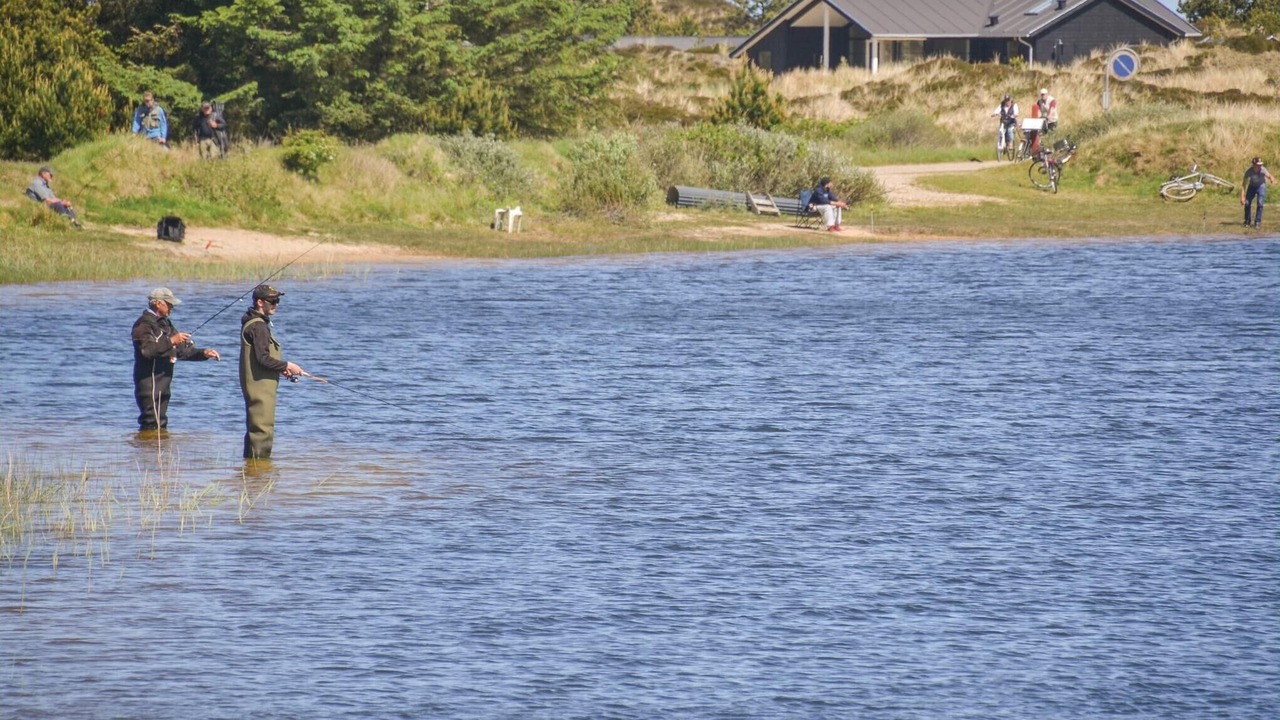 Photo of Others in Skaven Strand