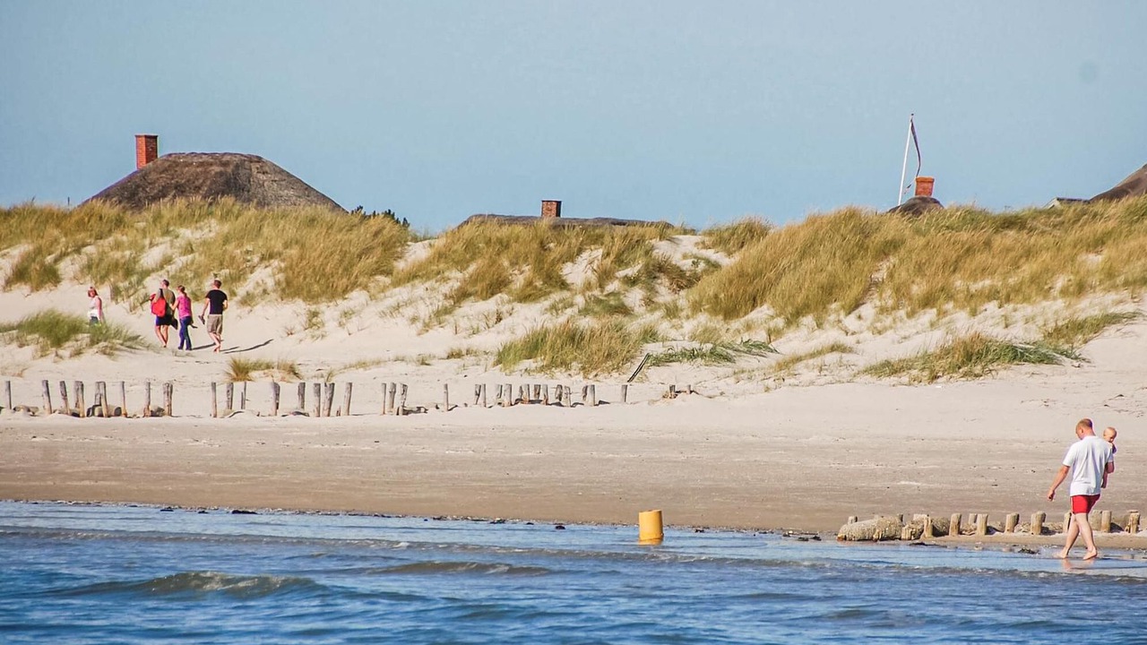 Photo of Others in Blavand Strand