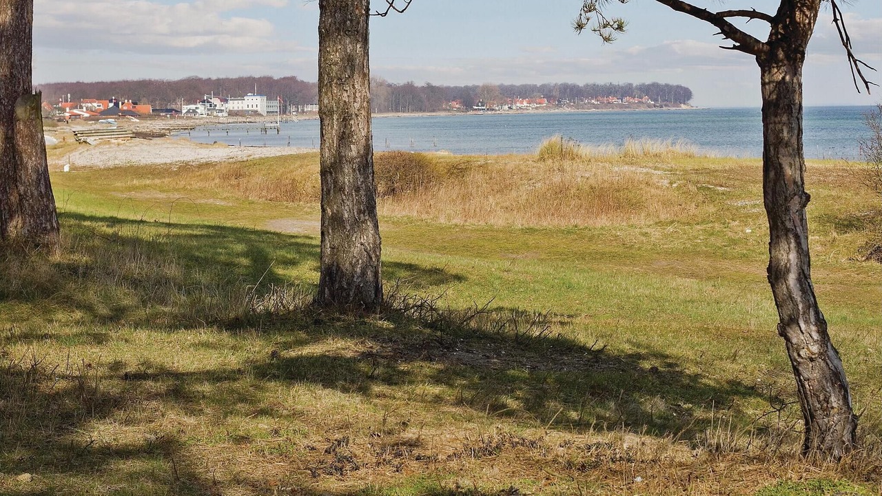 Photo of Others in Nyborg