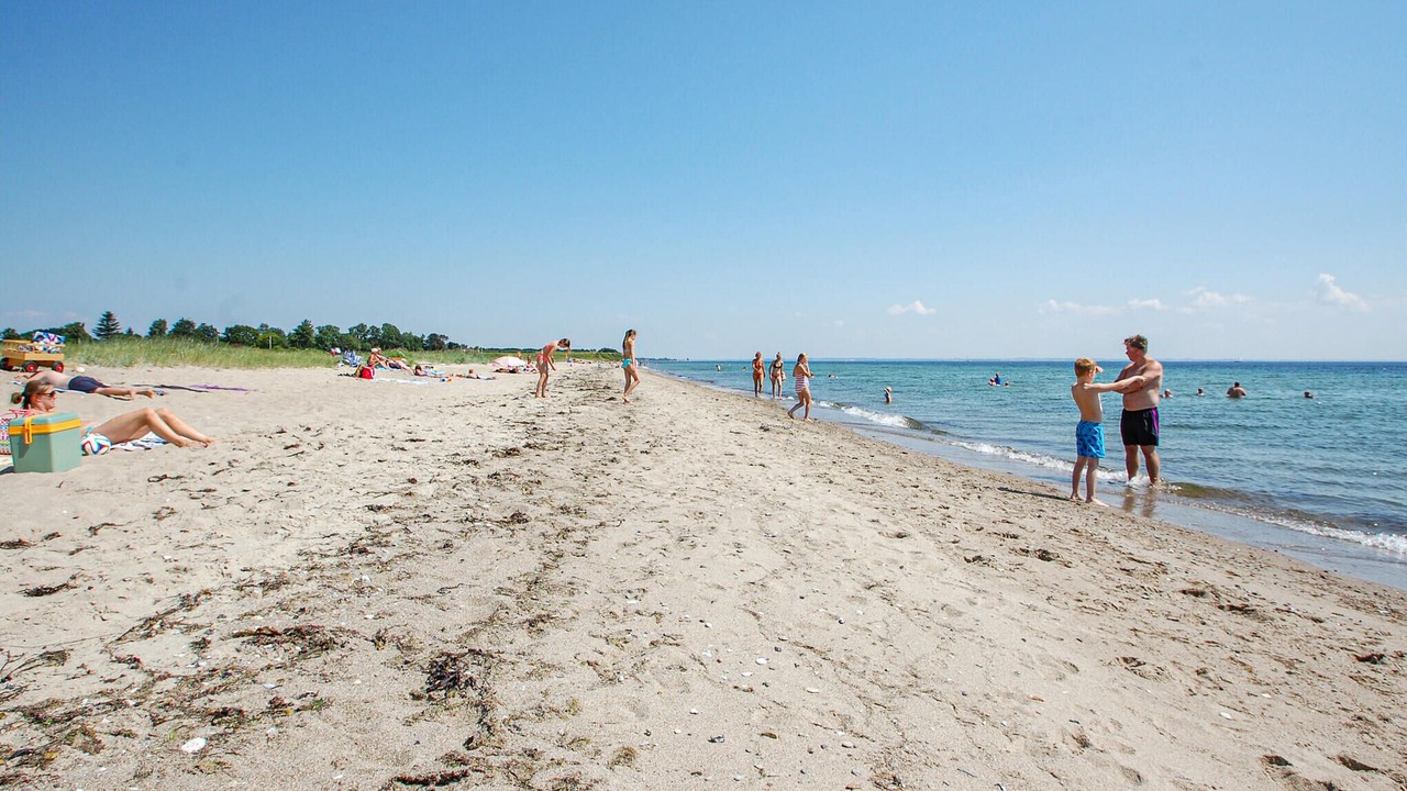 Photo of Others in Flovt Strand