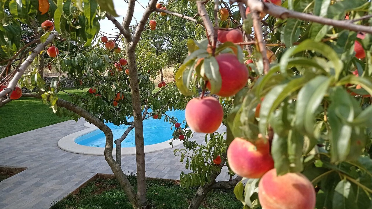 Photo of Outdoor in Sibenik