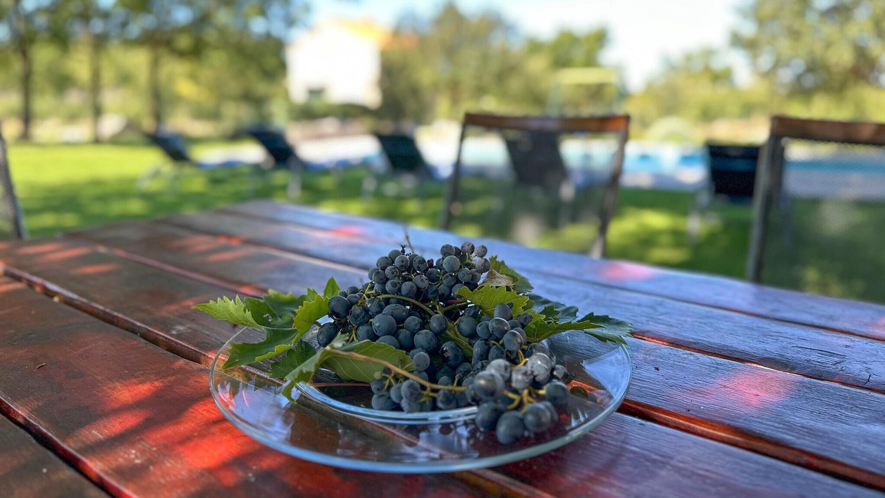 Photo of Outdoor in Sibenik