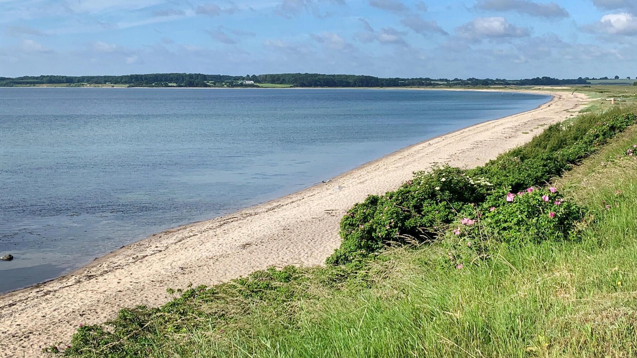 Photo of Others in Flovt Strand