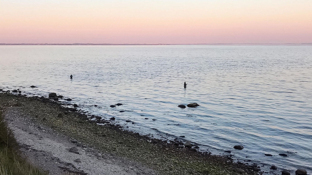Photo of Others in Flovt Strand