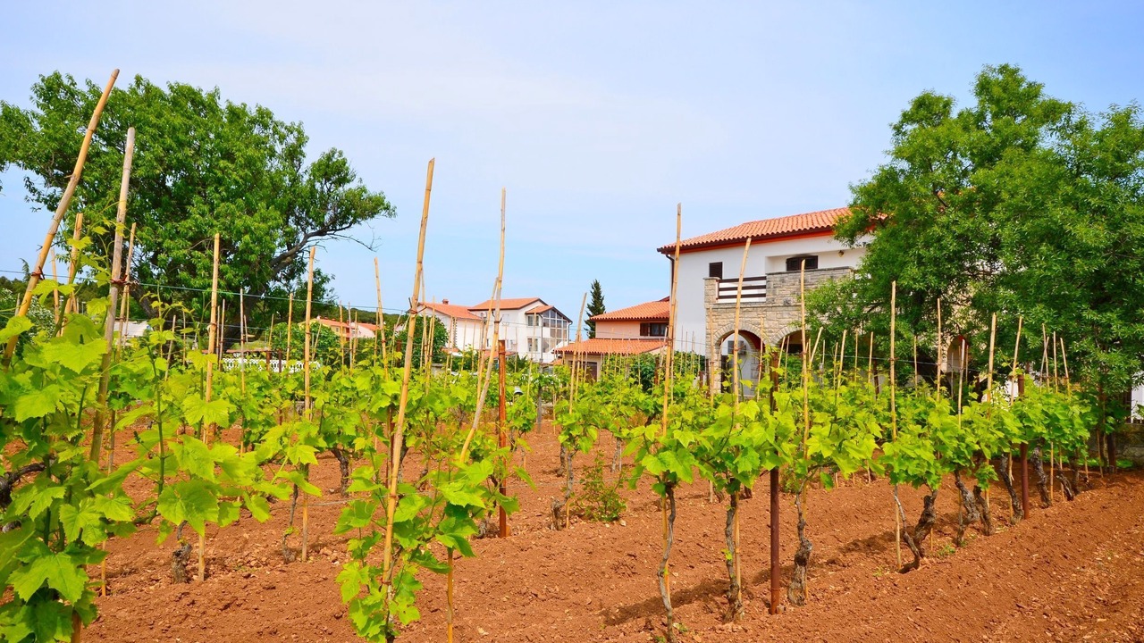 Photo of Outdoor in Premantura