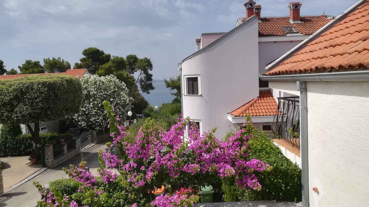 Photo of Outdoor in Petrcane