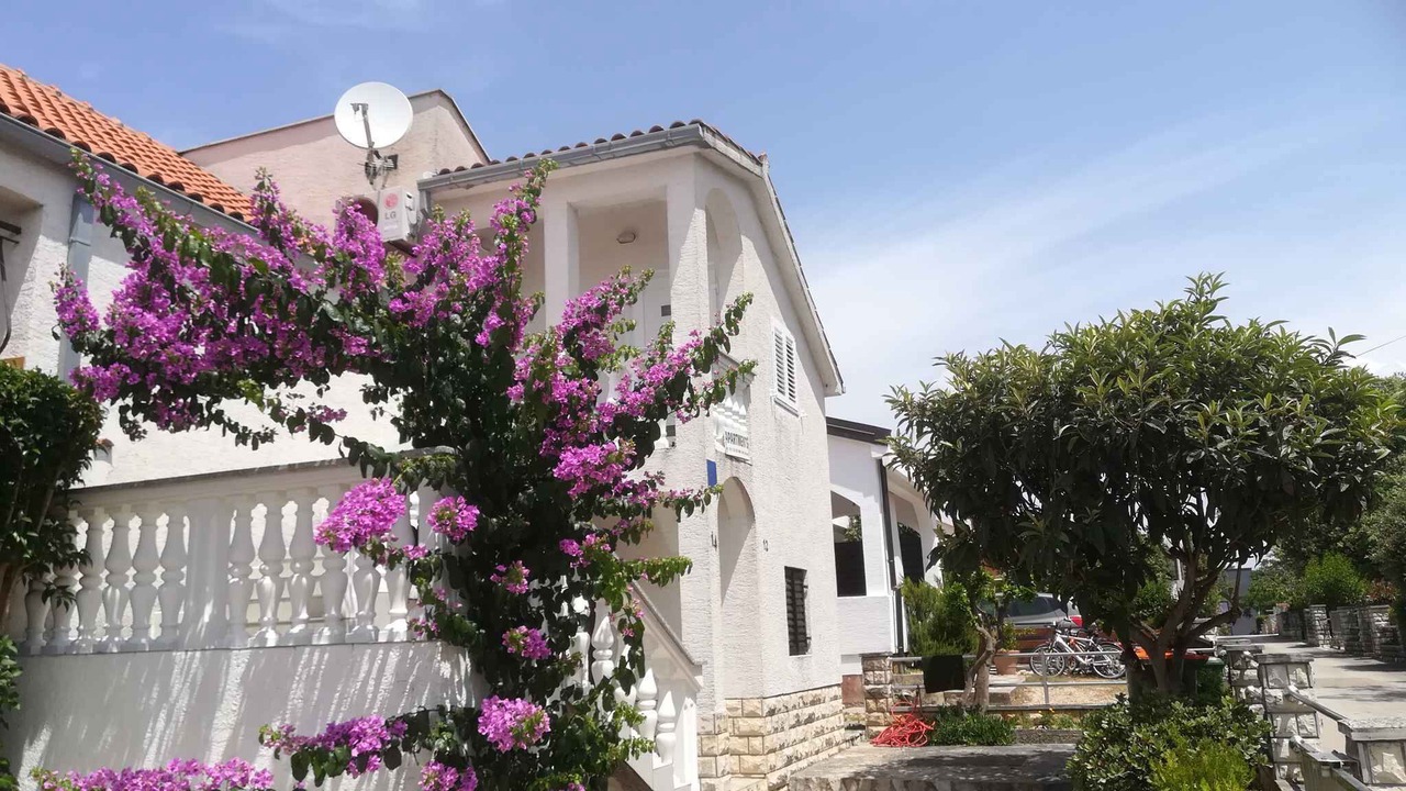 Photo of Outdoor in Petrcane