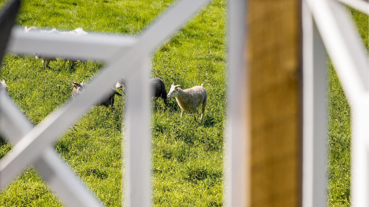Photo of Others in Beder Malling