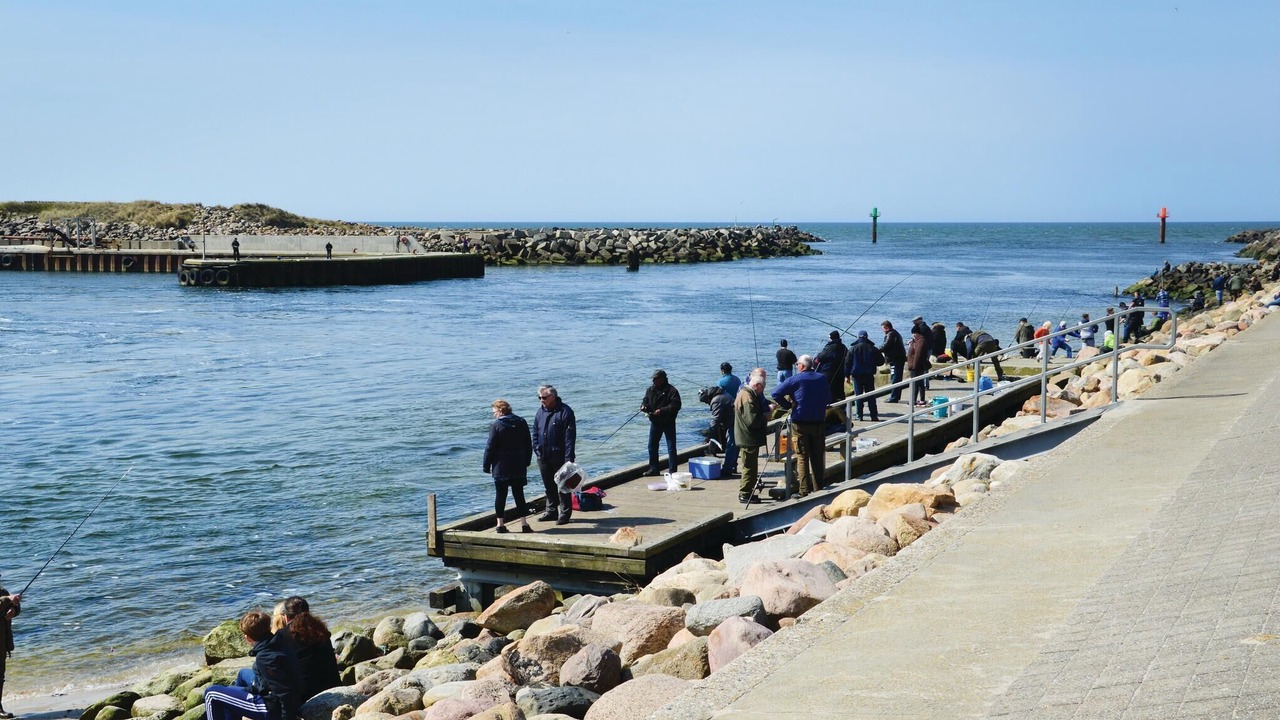 Photo of Others in Nørre Fjand