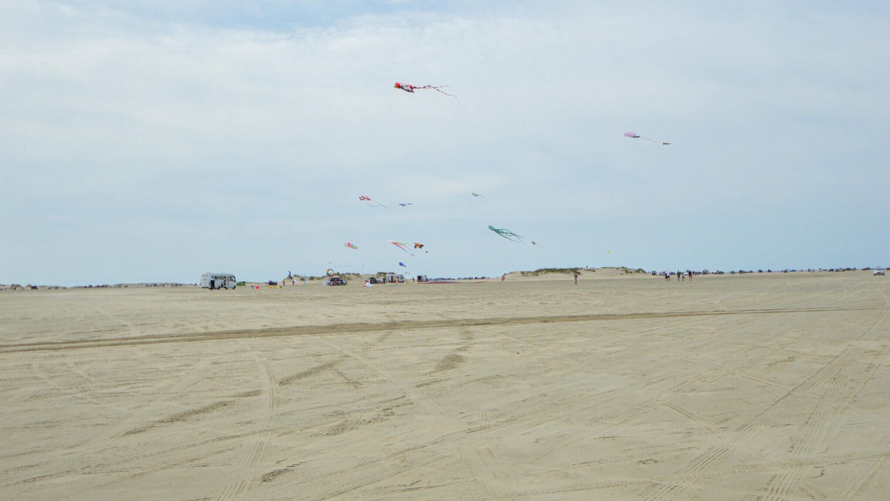 Photo of Others in Kongsmark