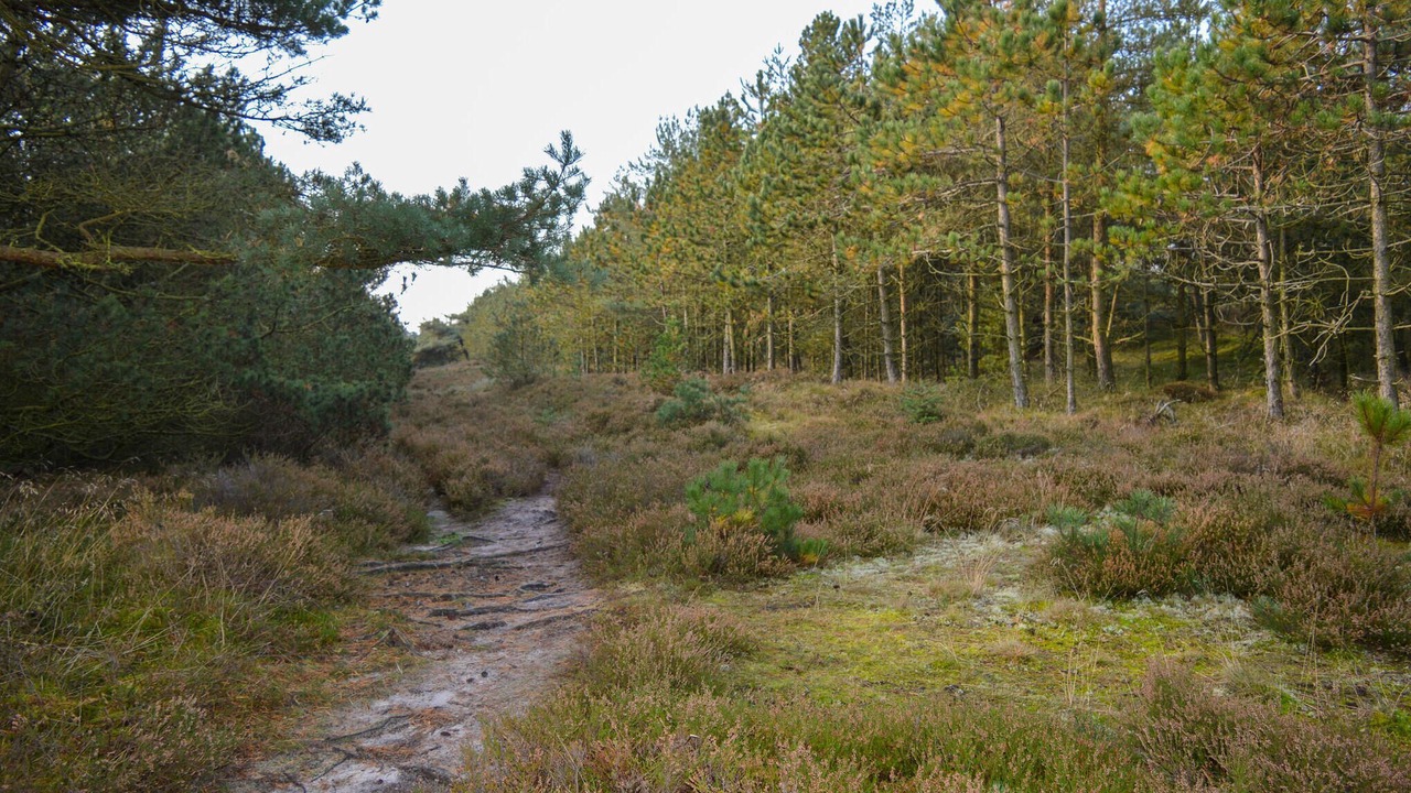 Photo of Others in Kongsmark