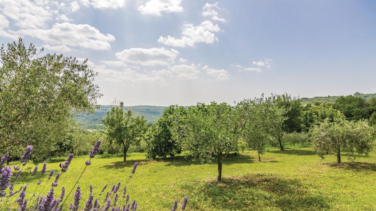 Photo of Outdoor in Motovun