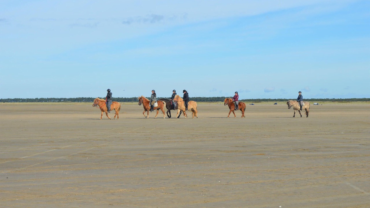 Photo of Others in Sønderstrand