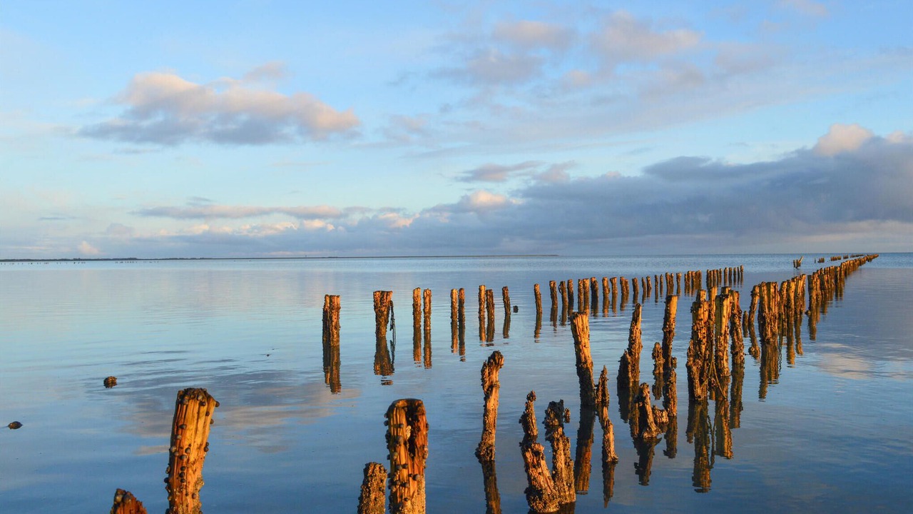 Photo of Others in Sønderstrand