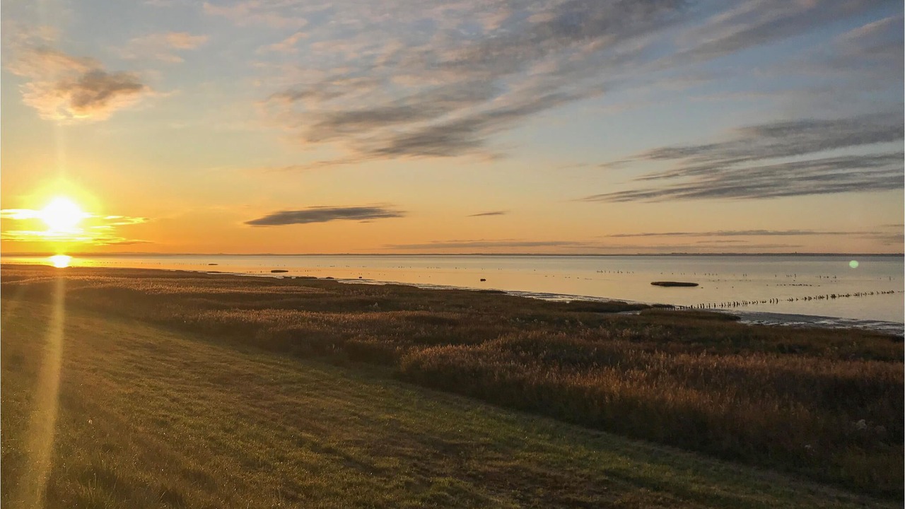 Photo of Others in Sønderstrand