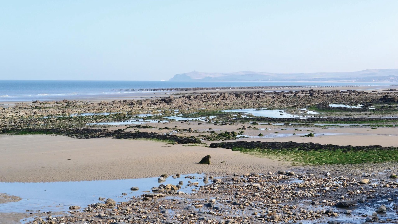 Photo of Others in Wimille