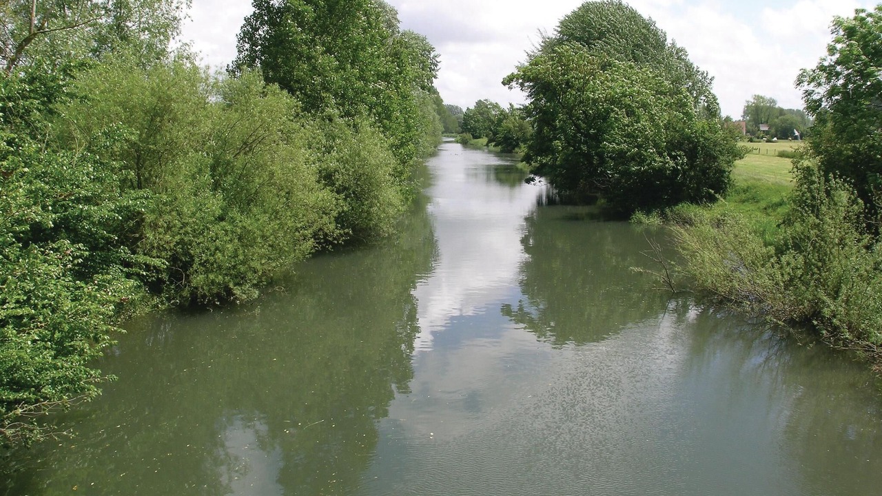 Photo of Others in Wimille