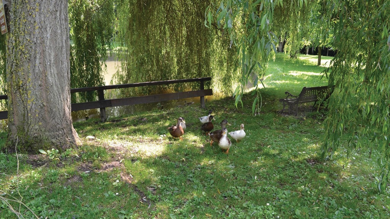 Photo of Others in Wimille