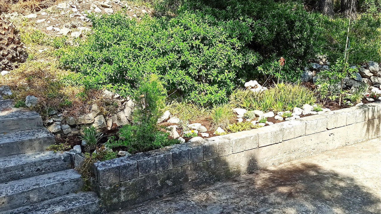 Photo of Others in Lumbarda