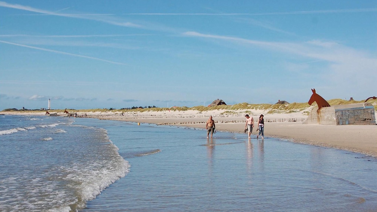 Photo of Others in Blavand