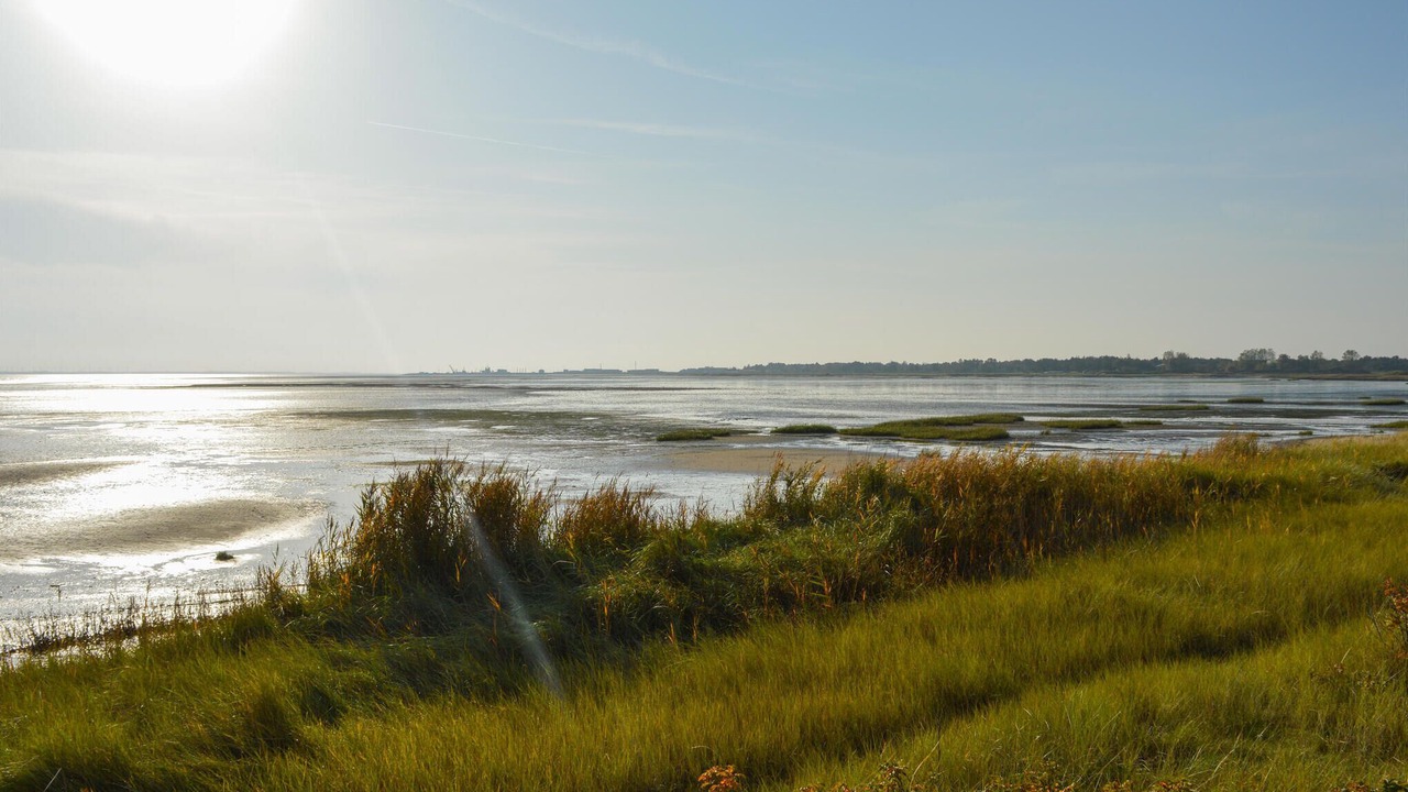 Photo of Others in Rømø Kirkeby