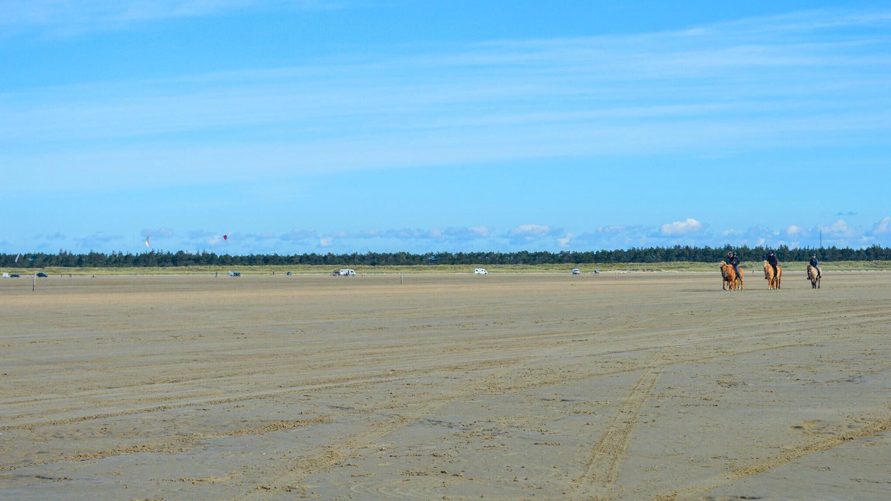 Photo of Others in Rømø Kirkeby