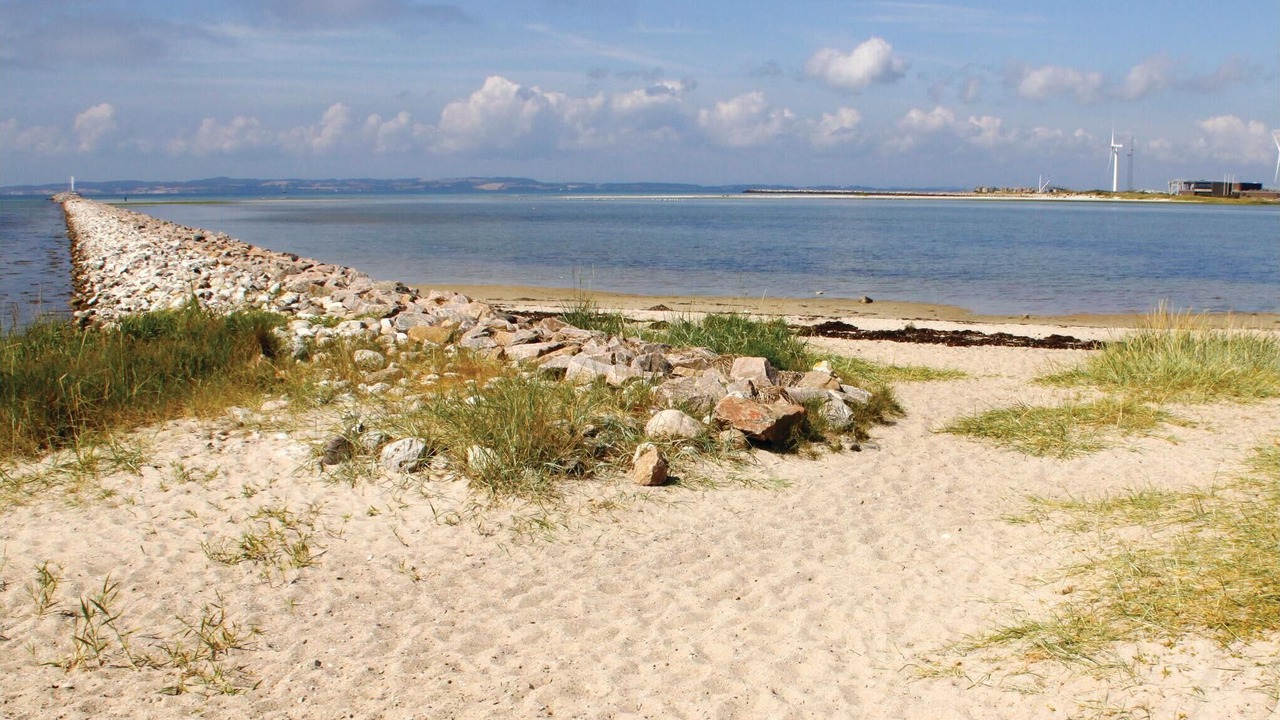 Photo of Others in Øer Strand