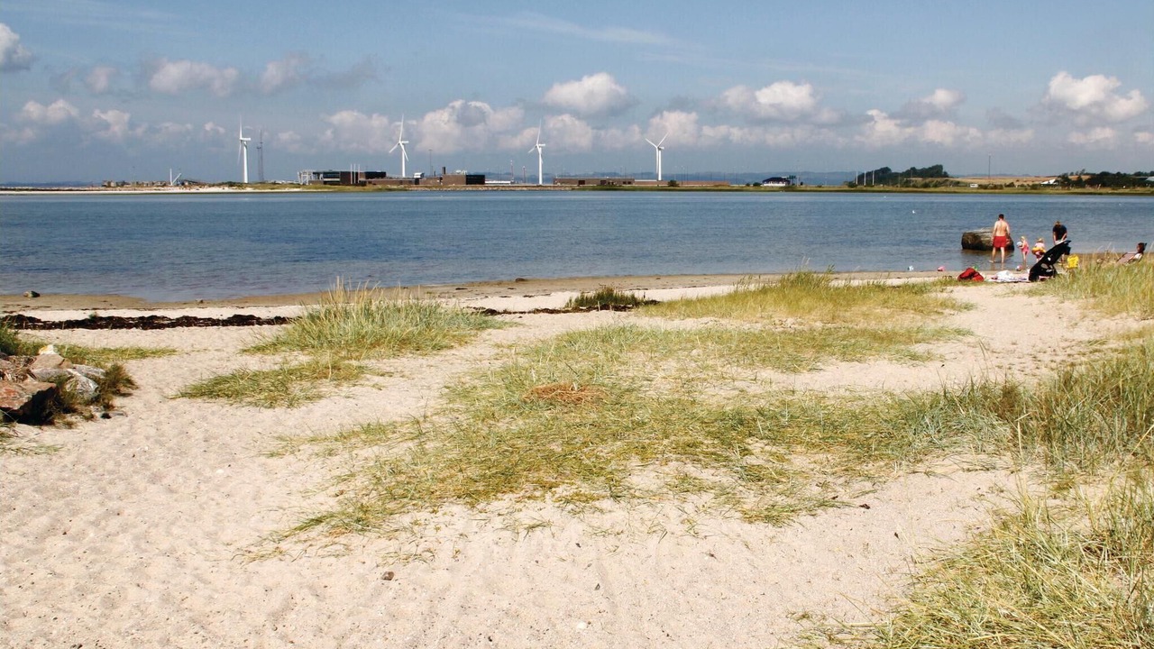 Photo of Others in Øer Strand