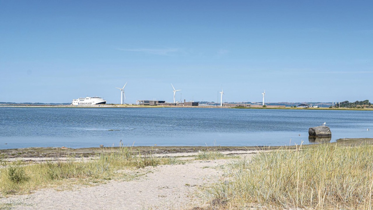 Photo of Others in Øer Strand