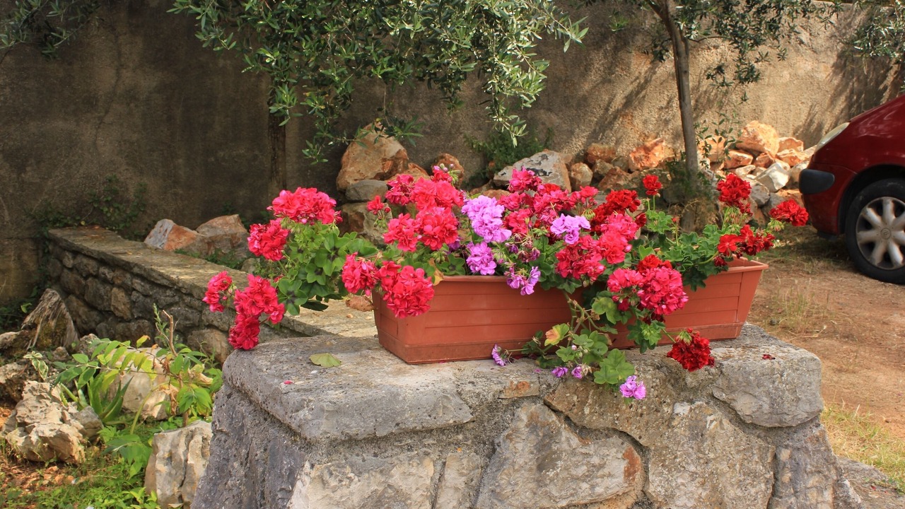 Photo of Outdoor in Veli Losinj