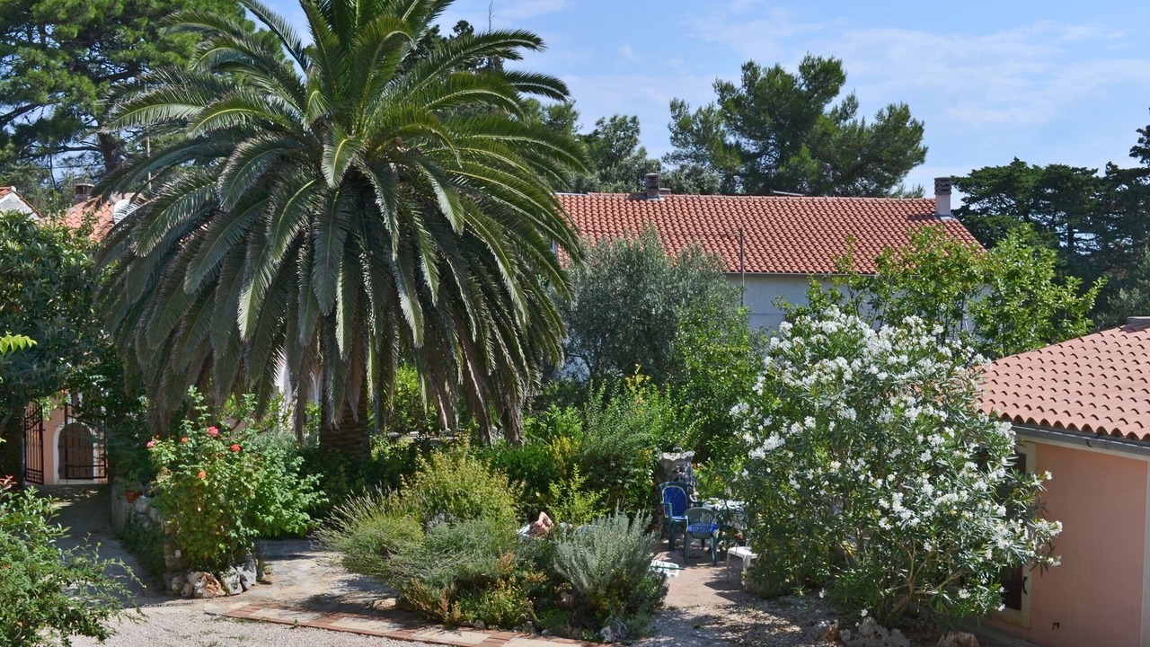 Photo of Outdoor in Veli Losinj