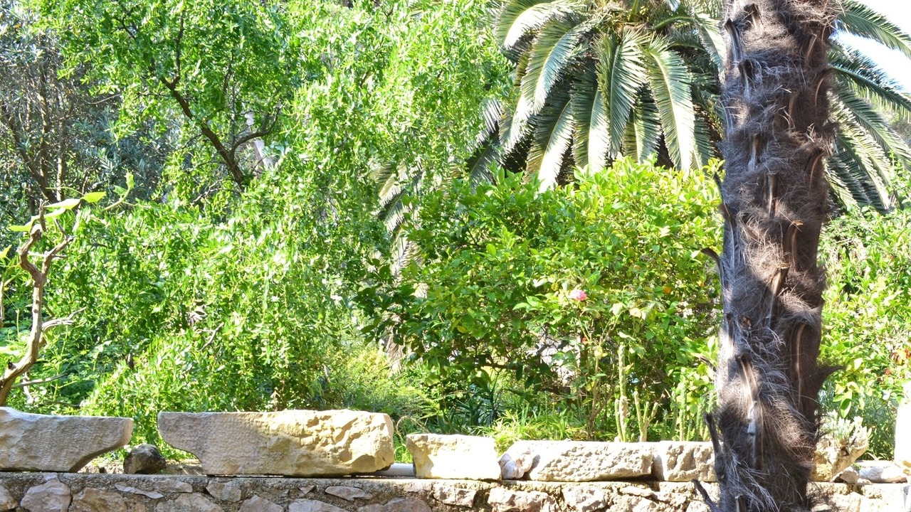 Photo of Others in Veli Losinj