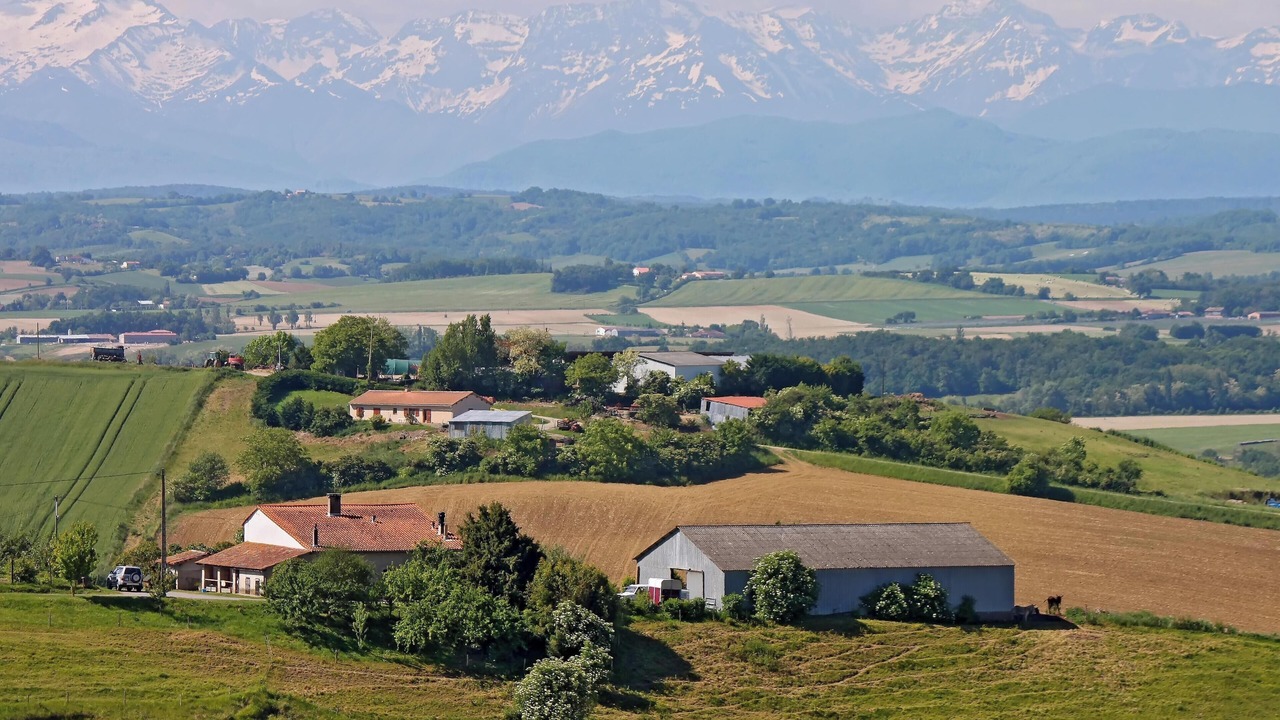 Photo of Others in Rieux-Volvestre